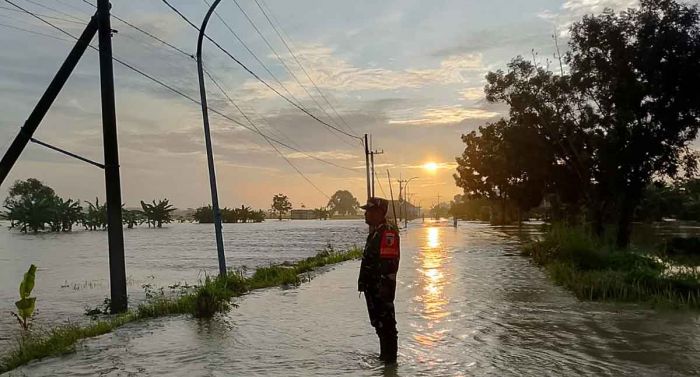 Kali Lamong Meluap, 7 Desa di Balongpanggang Gresik Terendam Kali Lamong Meluap, 7 Desa di Balongpanggang Gresik Terendam
