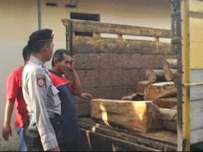 Puluhan Jati Gelap Diamankan Polisi