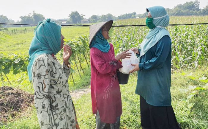 Neng Fitri soal Penanganan Covid-19: Pemerintah Juga Harus Fokus Ketahanan Pangan Masyarakat Neng Fitri soal Penanganan Covid-19: Pemerintah Juga Harus Fokus Ketahanan Pangan Masyarakat