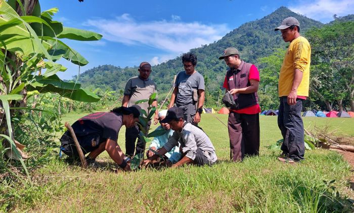 Gandeng Taman Nasional Meru Betiri, PFN Buat Arboretrum Ficus Terluas di Indonesia Gandeng Taman Nasional Meru Betiri, PFN Buat Arboretrum Ficus Terluas di Indonesia