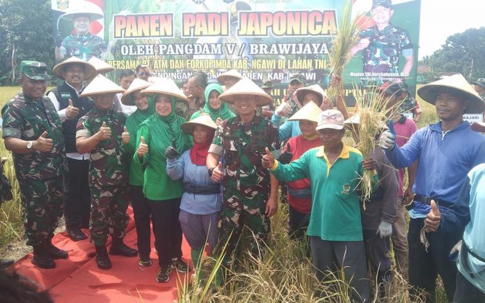 Pangdam V Brawijaya Pimpin Panen Raya Padi di Ngawi Pangdam V Brawijaya Pimpin Panen Raya Padi di Ngawi
