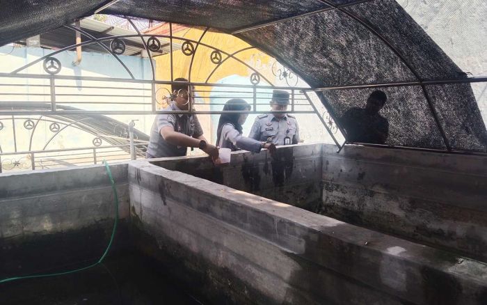 Manfaatkan Lahan Kosong untuk Ketahanan Pangan, Lapas Kelas II B Ternak Ikan Lele Manfaatkan Lahan Kosong untuk Ketahanan Pangan, Lapas Kelas II B Ternak Ikan Lele