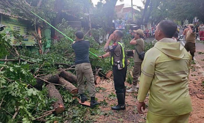 Cuaca Ekstrem, Polres Mojokerto Kota Bantu Bantu Evakuasi Pohon Tumbang Cuaca Ekstrem, Polres Mojokerto Kota Bantu Bantu Evakuasi Pohon Tumbang