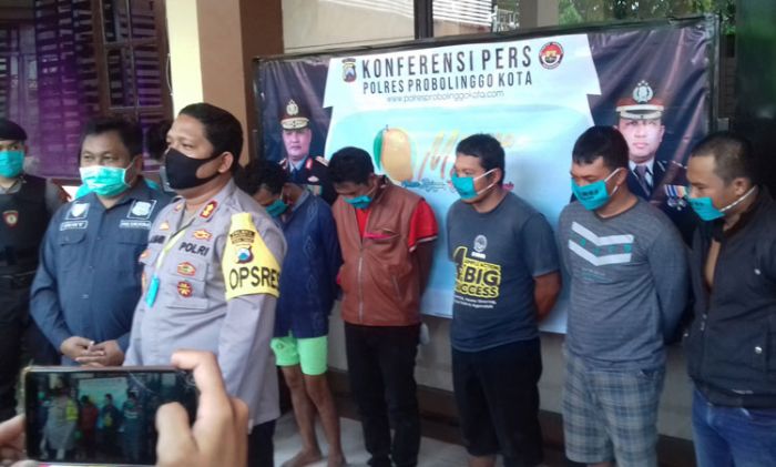 Jualan Lewat Online, Pedagang Kerbau Asal Lumajang Dirampok di Probolinggo Jualan Lewat Online, Pedagang Kerbau Asal Lumajang Dirampok di Probolinggo