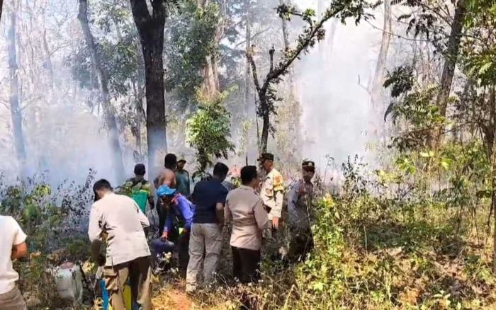 Kurang dari Dua Jam, Polisi Bersama Petugas Perhutani Padamkan Api di RPH Sidowayah Ngawi Kurang dari Dua Jam, Polisi Bersama Petugas Perhutani Padamkan Api di RPH Sidowayah Ngawi