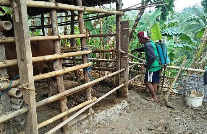 Serangan Antraks di Pacitan Diduga Mulai Menyebar ke Kecamatan Sudimoro Serangan Antraks di Pacitan Diduga Mulai Menyebar ke Kecamatan Sudimoro