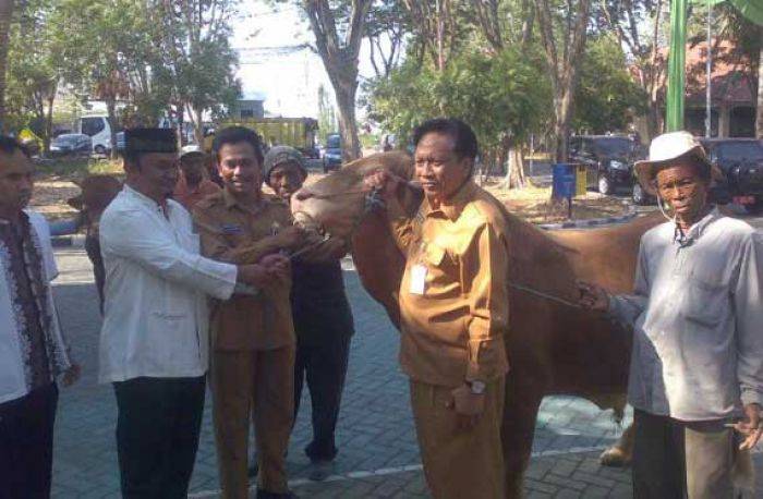 Jelang Lengser, Bupati Gresik Serahkan Hewan Kurban Terakhir Jelang Lengser, Bupati Gresik Serahkan Hewan Kurban Terakhir