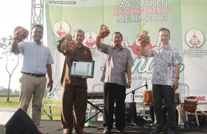 Petani Bawang Merah di Nganjuk Diberi Sosialisasi tentang Pengaplikasian Pestisida Petani Bawang Merah di Nganjuk Diberi Sosialisasi tentang Pengaplikasian Pestisida