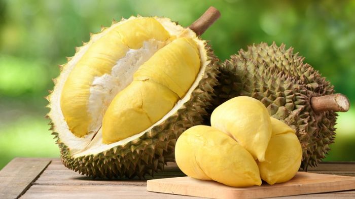 Apakah Durian Mengandung Kadar Kolesterol Tinggi? Ini Kata Ahli Gizi IPB dan UI Apakah Durian Mengandung Kadar Kolesterol Tinggi? Ini Kata Ahli Gizi IPB dan UI