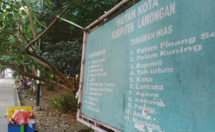 Hutan Kota Lamongan Kumuh dan tak Terurus Hutan Kota Lamongan Kumuh dan tak Terurus