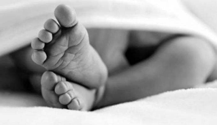 Setahun, Tiga Bayi di Jombang Dibuang Setahun, Tiga Bayi di Jombang Dibuang