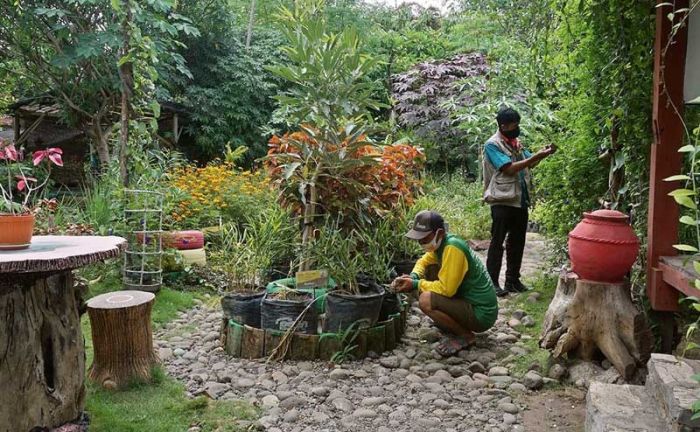 "Menumbuhkan" Oksigen dan Obat di Pekarangan, Ini Contoh Keberhasilan PKK Kota Kediri