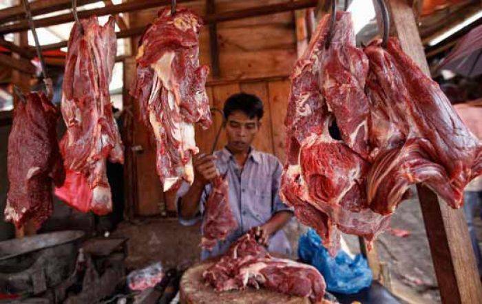 Disnak Tulungagung: Stok Sapi Aman Disnak Tulungagung: Stok Sapi Aman