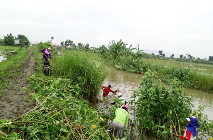 Pasca Banjir, Warga 3 Desa di Plumpang Kerja Bakti Bersihkan Afur Kuwu