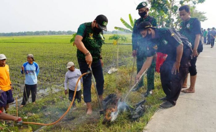 Amankan Sektor Pangan, GPK Jombang Bantu Petani Gropyokan Tikus Amankan Sektor Pangan, GPK Jombang Bantu Petani Gropyokan Tikus
