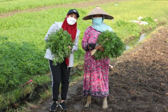 Dipuji Istri Bupati, Petani Sayur Ini Dianggap Sosok Tangguh Ketahanan Pangan di Sidoarjo Dipuji Istri Bupati, Petani Sayur Ini Dianggap Sosok Tangguh Ketahanan Pangan di Sidoarjo
