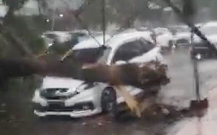 Hujan dan Angin Kencang di Jember, Sejumlah Pohon Tumbang, Timpa Mobil Parkir Hujan dan Angin Kencang di Jember, Sejumlah Pohon Tumbang, Timpa Mobil Parkir
