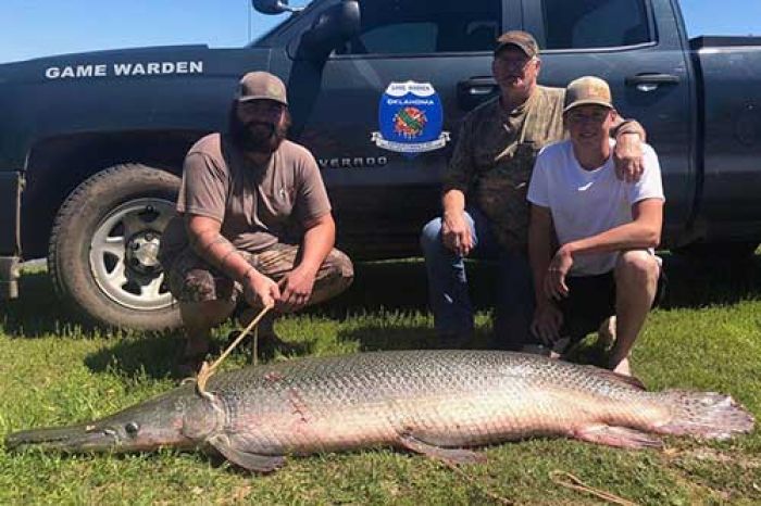 Ikan Era Jurasic masih Hidup di Danau Texoma, Oklahoma Ikan Era Jurasic masih Hidup di Danau Texoma, Oklahoma