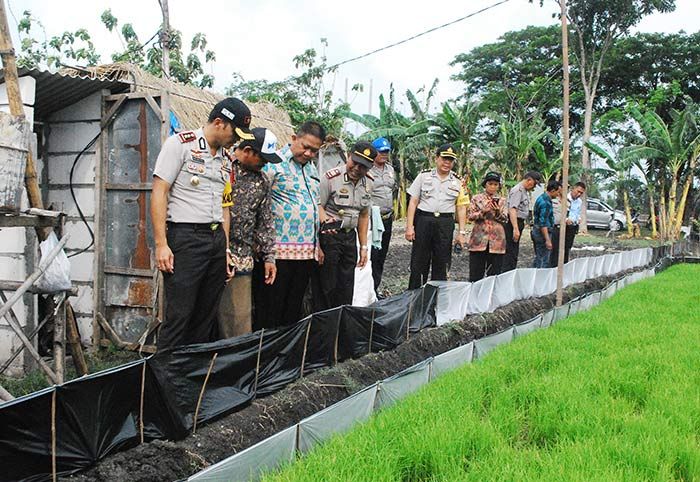 Usai Sosialisasi, Kapolres Bersama Tim Pimpin Pencopotan Jebakan Tikus yang Menggunakan Listrik