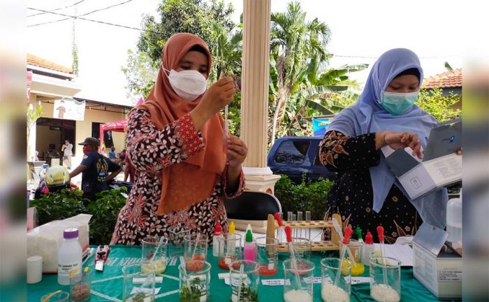 Pastikan Bebas Pestisida, DKPP Kabupaten Kediri Lakukan Rapid Test Produk Pangan Segar Pastikan Bebas Pestisida, DKPP Kabupaten Kediri Lakukan Rapid Test Produk Pangan Segar