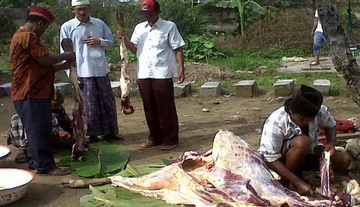 Bersyukur Fuad Amin Ditangkap KPK, Ra Imam Sembelih Sapi Penuhi Nadzar Bersyukur Fuad Amin Ditangkap KPK, Ra Imam Sembelih Sapi Penuhi Nadzar