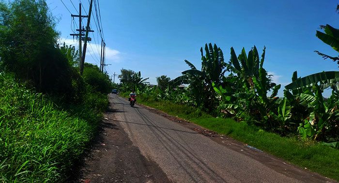 Jadi Jalur Alternatif, Ruas Jalan Cangkringmalang-Kedungboto Perlu Dilebarkan