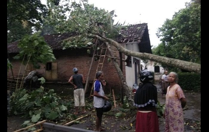 Ini Total Kerusakan Akibat Amukan Puting Beliung di Blitar Ini Total Kerusakan Akibat Amukan Puting Beliung di Blitar