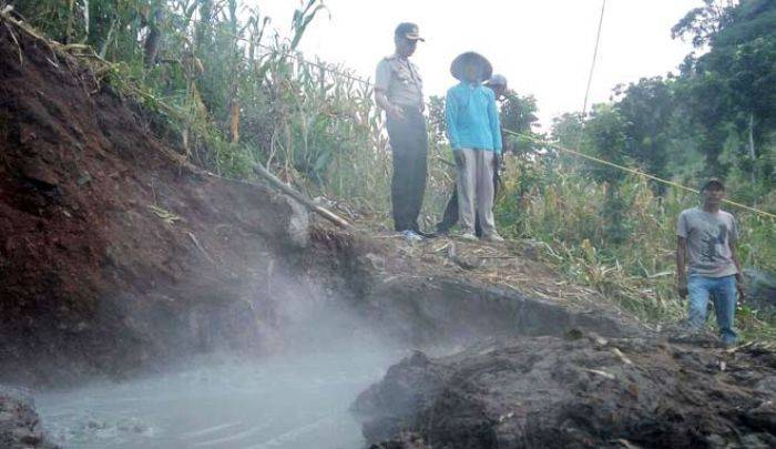 Lumpur Panas Gondang Ancam Puluhan Hektar Tanaman Bawang