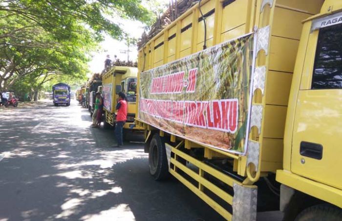 Tolak Gula Impor dan Pajak 10 Persen, 400 Sopir Truk Tebu di Kediri Mogok Tolak Gula Impor dan Pajak 10 Persen, 400 Sopir Truk Tebu di Kediri Mogok