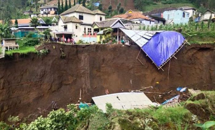 Usai Diguyur Hujan Deras, Tanah Setinggi 30 Meter di Desa Ngadiwono Pasuruan Longsor