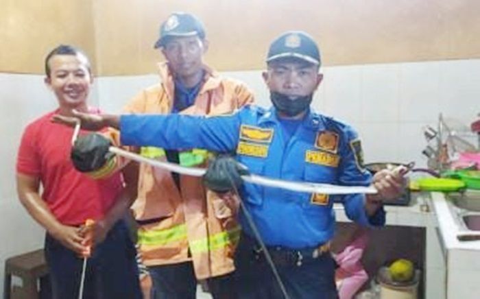 Tim Damkar Sumenep Evakuasi Ular Jali Sepanjang 1,3 Meter dari Rumah Warga Tim Damkar Sumenep Evakuasi Ular Jali Sepanjang 1,3 Meter dari Rumah Warga