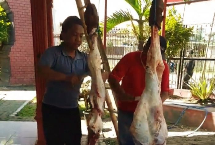 PDIP Kabupaten Kediri Sembelih 2 Sapi dan 1 Kambing PDIP Kabupaten Kediri Sembelih 2 Sapi dan 1 Kambing
