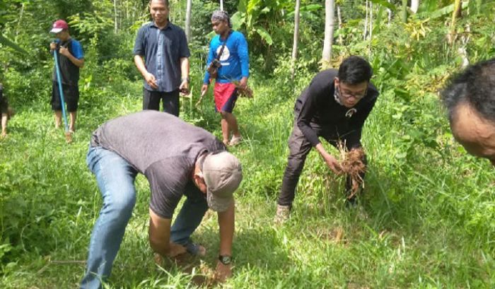 ​Cegah Erosi, Warga Semanten Pacitan Tanam Akar Wangi