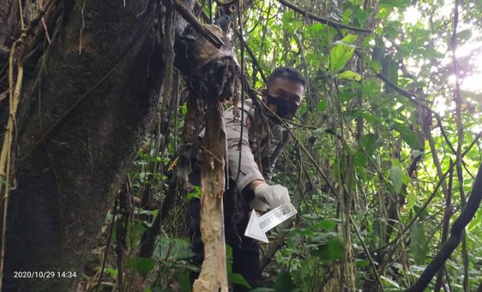 Kerangka Manusia Tanpa Identitas Diduga Korban Bunuh Diri Ditemukan di Gunung Gedang Blitar