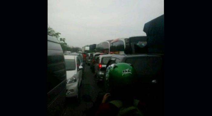 Kecelakaan di Raya Hutan Baluran Situbondo: Truk Sarden Terguling, Macet hingga 30 KM Kecelakaan di Raya Hutan Baluran Situbondo: Truk Sarden Terguling, Macet hingga 30 KM