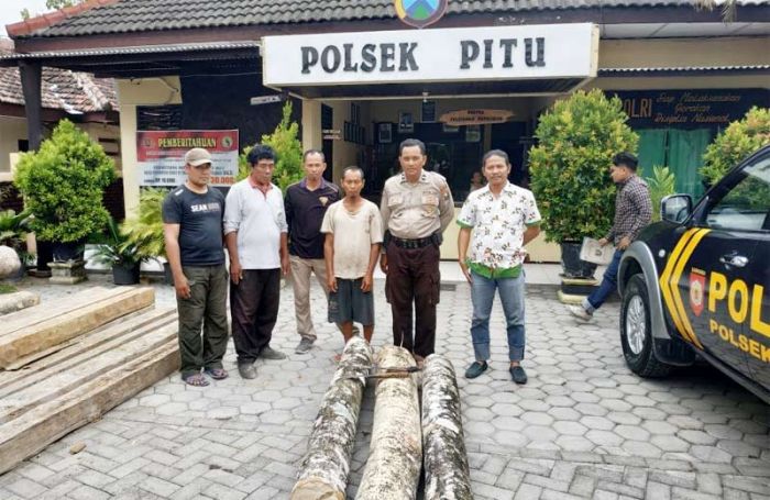 Gergaji Pohon di Lahan Perhutani, Warga Ngawi Diciduk Gergaji Pohon di Lahan Perhutani, Warga Ngawi Diciduk