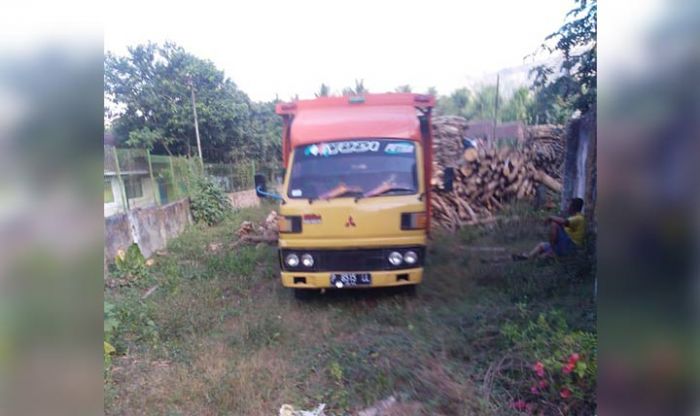 PTPN XII Kebun Mumbul Diduga Jual Kayu Secara Ilegal PTPN XII Kebun Mumbul Diduga Jual Kayu Secara Ilegal