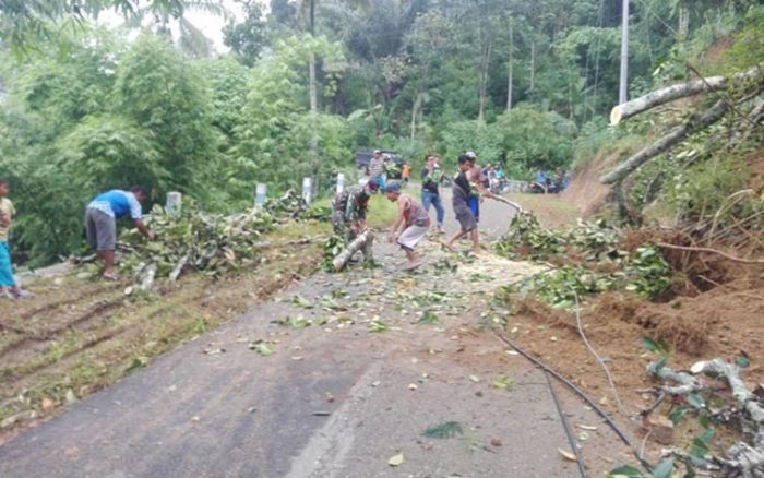 Tanah Longsor Kembali Melanda Sejumlah Wilayah di Pacitan Tanah Longsor Kembali Melanda Sejumlah Wilayah di Pacitan