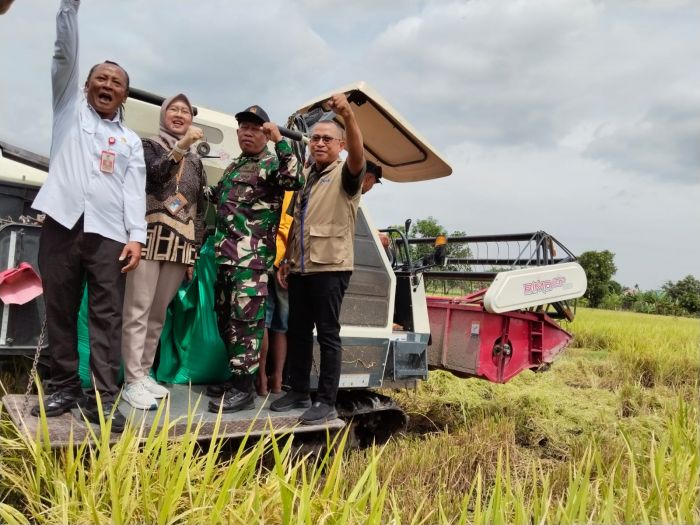 Kabupaten Kediri Tingkatkan Luasan Tanam, Stok Beras Bulog Cukup hingga 20 Bulan ke Depan