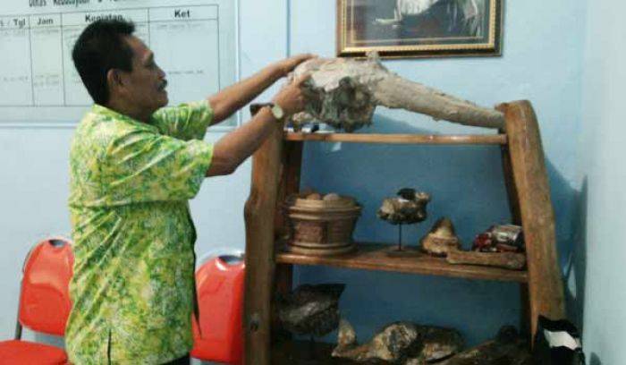 Disbudpar Bojonegoro Pamer Ratusan Macam Fosil, Ada Fosil Gajah hingga Tembikar Disbudpar Bojonegoro Pamer Ratusan Macam Fosil, Ada Fosil Gajah hingga Tembikar