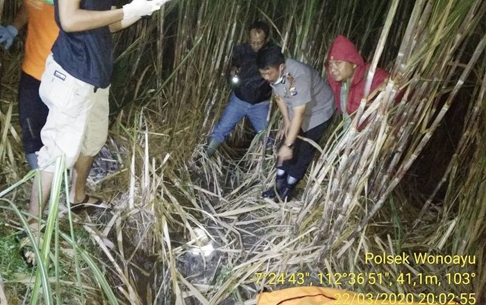 Temuan Tengkorak Manusia di Kebun Tebu Gemparkan Warga Wonoayu Sidoarjo