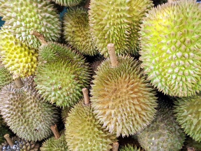 Jarang Diketahui! Ini 5 Manfaat Mengonsumsi Durian Salah Satunya Cegah Kanker