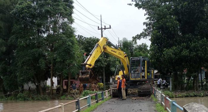 Banjir Rendam 525 Hektare Sawah dan Ratusan Rumah, DPUPR Jombang Bersihkan Sumbatan di Sungai