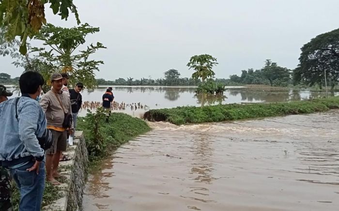 Tanggul Sungai Bogokerep Kediri Jebol, Puluhan Hektare Lahan Pertanian Tergenang Air