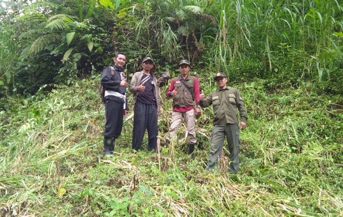 Hijaukan 1 Hektare Lahan Hutan, Ribuan Pohon Fokus Ditanam ke Lereng Gunung Wilis