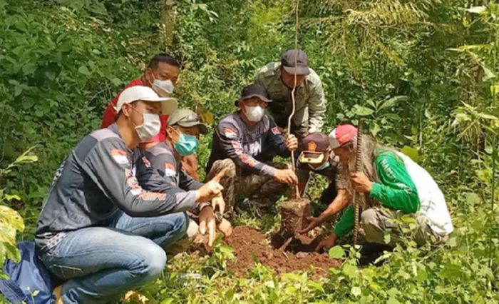 Peduli Lingkungan, Offroader dan Komunitas Trail Tanam 500 pohon di Gunung Klotok Peduli Lingkungan, Offroader dan Komunitas Trail Tanam 500 pohon di Gunung Klotok