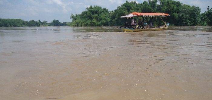 Bengawan Solo Naik, BPBD Bojonegoro Minta Warga Waspada Banjir Bengawan Solo Naik, BPBD Bojonegoro Minta Warga Waspada Banjir