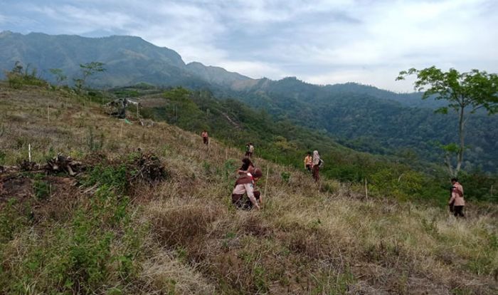 Gandeng Saka Wanabakti, Perhutani Kediri Tanam Biji Pohon di Hutan Bekas Kebakaran