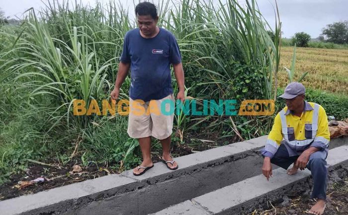 Upayakan Tercukupi Air di Sawah, Petani Desa Pilangrejo Madiun Garap Irigasi Upayakan Tercukupi Air di Sawah, Petani Desa Pilangrejo Madiun Garap Irigasi