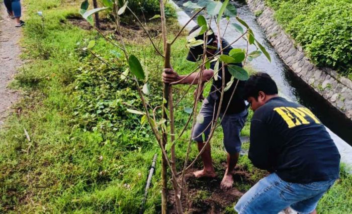 Relawan Peduli Lingkungan Gelar Aksi Tanam Pohon di Dam Kunir Kediri Relawan Peduli Lingkungan Gelar Aksi Tanam Pohon di Dam Kunir Kediri